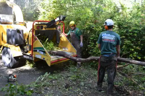 tree services Grenada